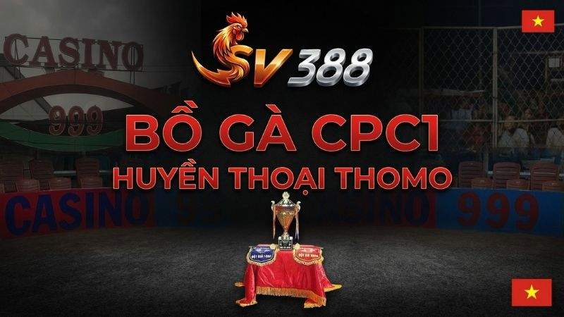 Bồ gà CPC1 (Casino 999) – Huyền thoại Thomo