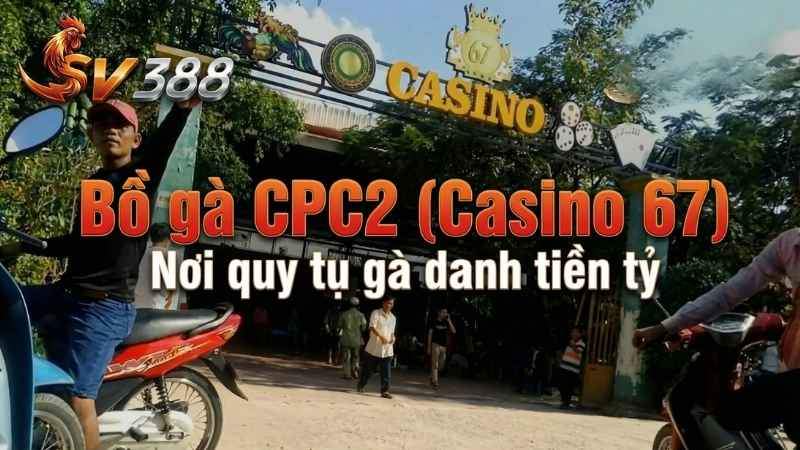 Bồ gà CPC2 (Casino 67) – Nơi quy tụ gà danh tiền tỷ