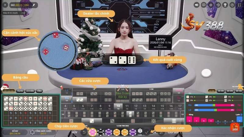 Bước 3: Đặt cược và theo dõi kết quả