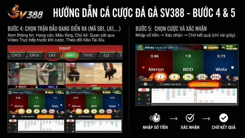 Chọn cửa cược và xác nhận