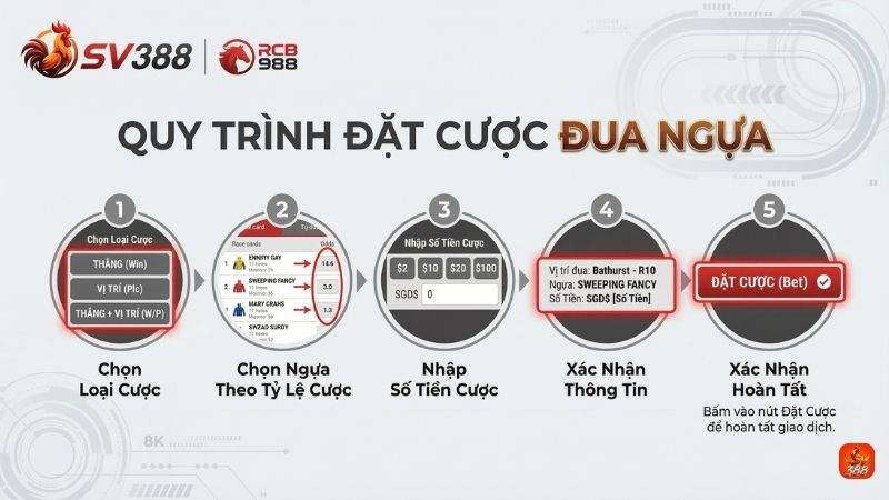 Quy trình đặt cược từng bước